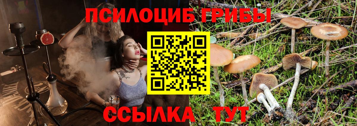 Галлюциногенные грибы Cubensis  Вход с VPN  Санкт-Петербург 