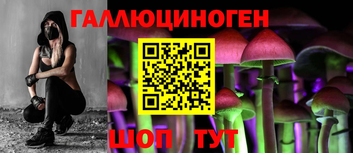 Псилоцибиновые грибы Magic Shrooms Санкт-Петербург